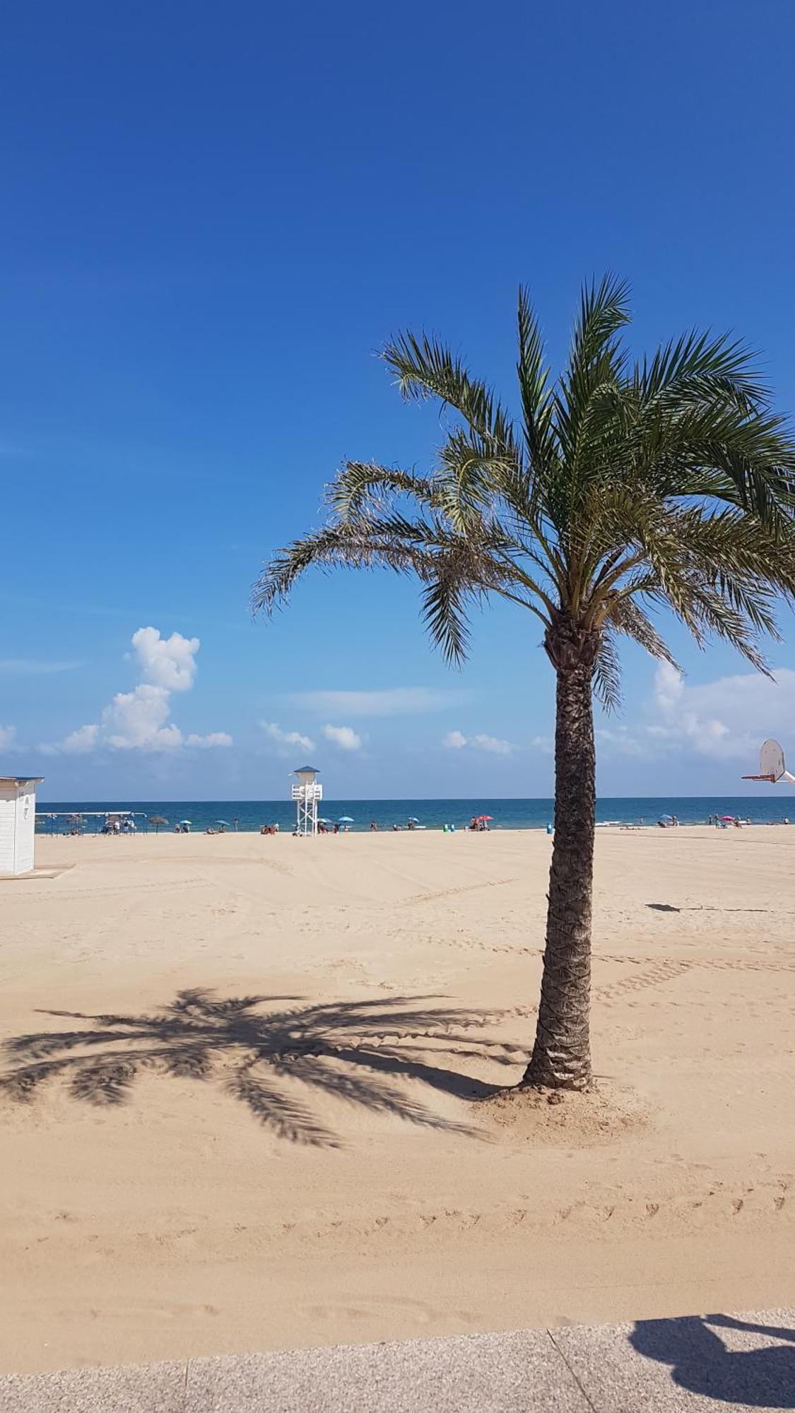 Hola Gandia Apartment ภายนอก รูปภาพ